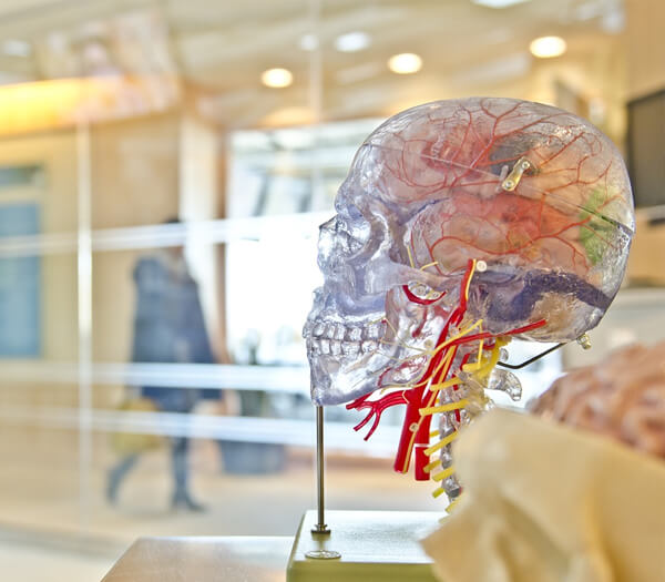 Neurology and Orthopedic Medical Coding Services